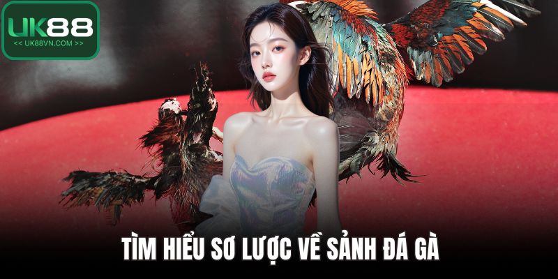 Đá Gà UK88 - Cách Chơi Cụ Thể Và Mẹo Giành Chiến Thắng 2 Tìm hiểu sơ lược về sảnh đá gà
